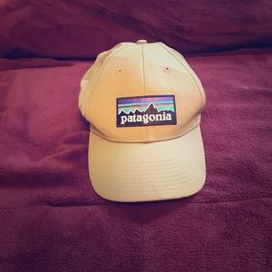 Patagonia cap